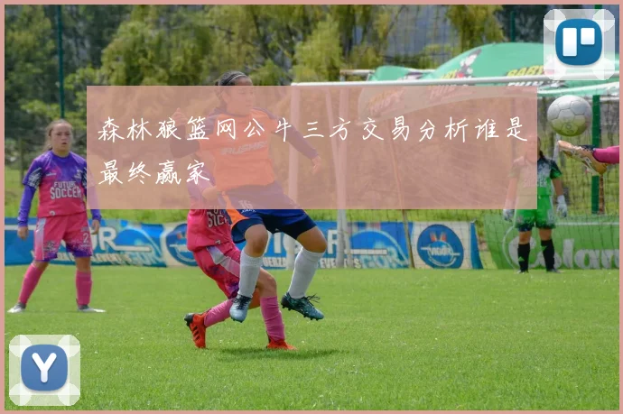 森林狼篮网公牛三方交易分析谁是最终赢家