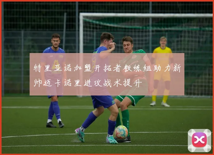 特里亚诺加盟开拓者教练组助力新帅迈卡诺里进攻战术提升