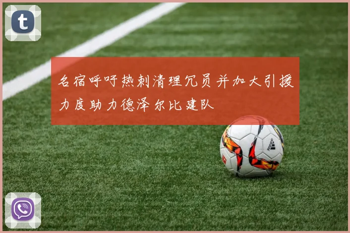 名宿呼吁热刺清理冗员并加大引援力度助力德泽尔比建队