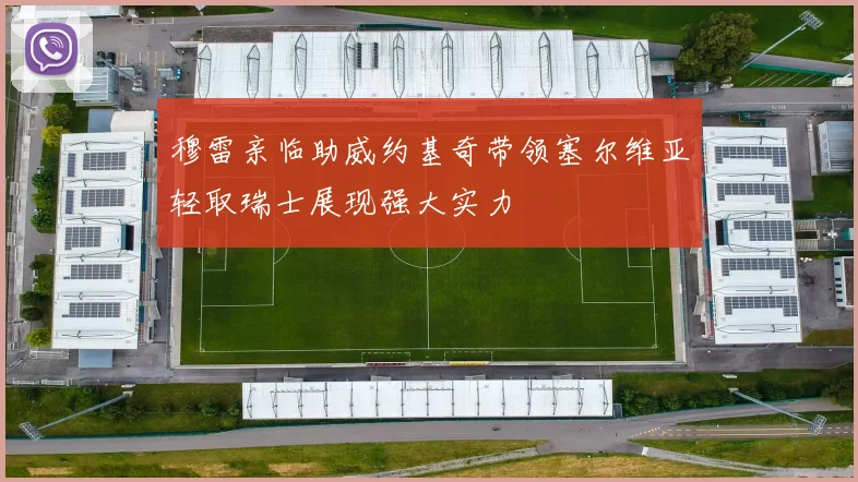 穆雷亲临助威约基奇带领塞尔维亚轻取瑞士展现强大实力