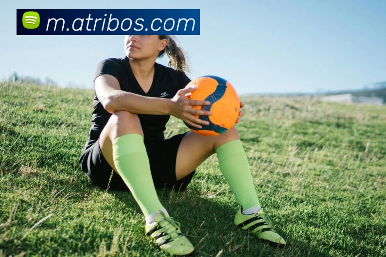 登录器